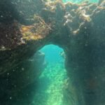 photo_4920625902706690887_y