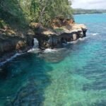 photo_4920625902706690888_y