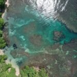 photo_4920625902706690891_y