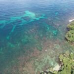 photo_4920625902706690892_y