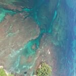 photo_4920625902706690893_y