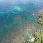 photo_4920625902706690894_y