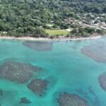 photo_4920625902706690902_y