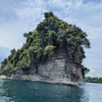 photo_4920625902706690903_y