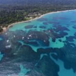 photo_4920625902706690904_y