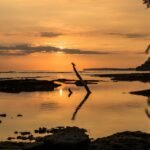 photo_4920625902706690906_y